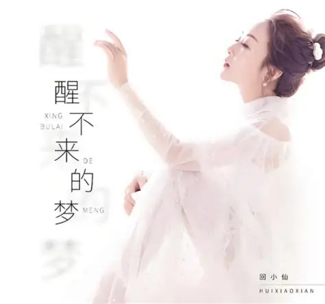 醒不来的梦